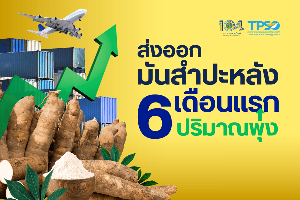 ส่งออกมันสำปะหลัง 6 เดือนแรก: ปริมาณพุ่ง